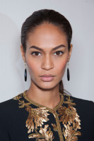 Joan Smalls photo #