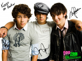 Jonas Brothers photo #