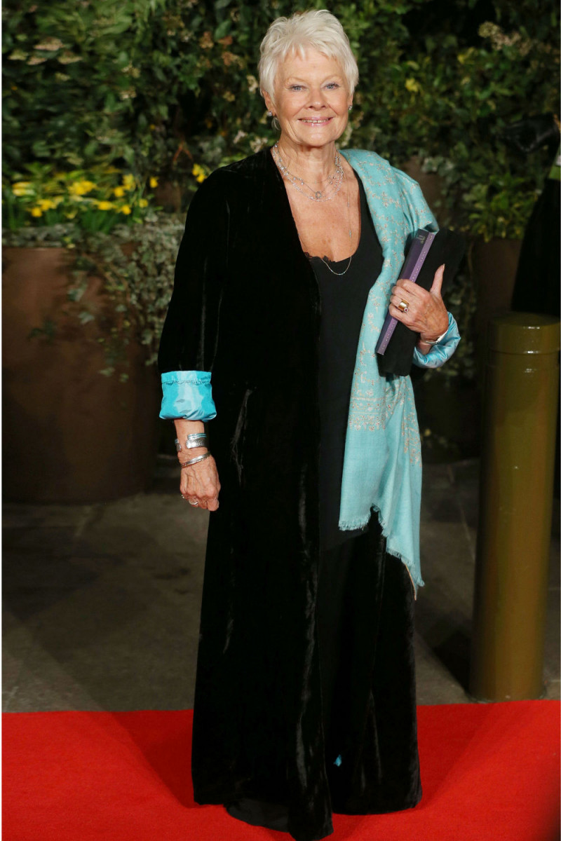 Judi Dench: pic #672928