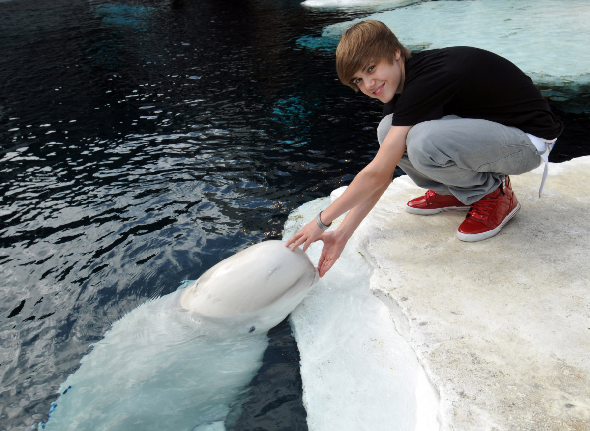 Justin Bieber: pic #257459