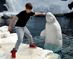 Justin Bieber photo #