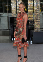 Kate Bosworth photo #