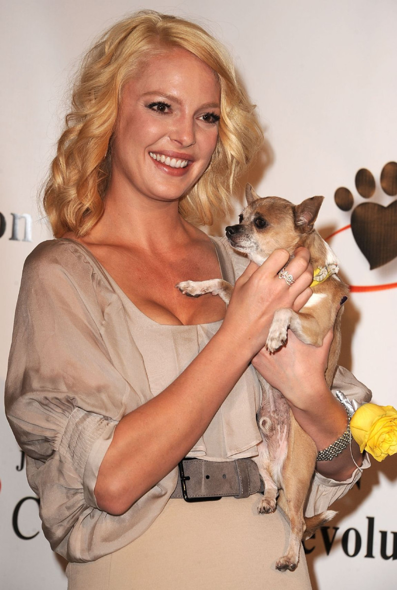 Katherine Heigl: pic #291682