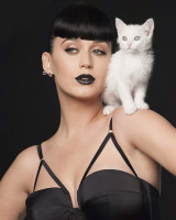 Katy Perry photo #