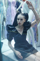 Kemp Muhl photo #