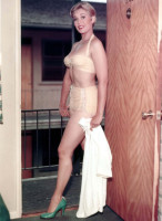 Kim Novak photo #