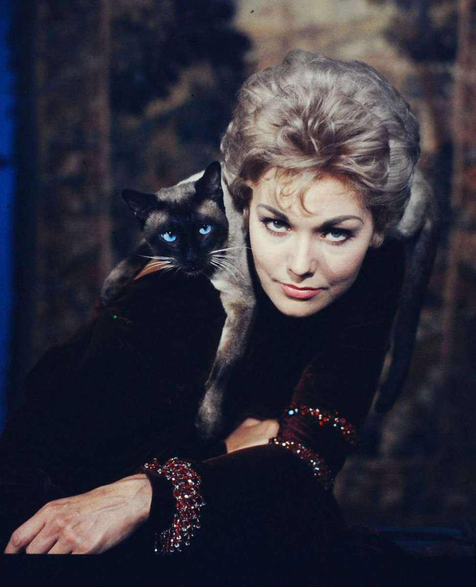 Kim Novak: pic #356877