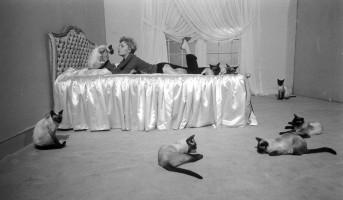 Kim Novak photo #
