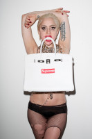 Lady Gaga photo #