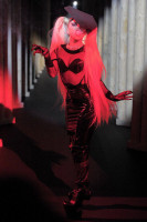 Lady Gaga photo #