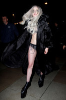 Lady Gaga photo #