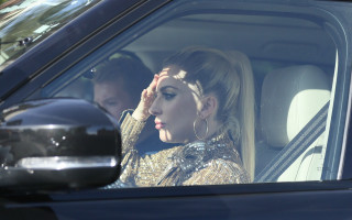 Lady Gaga photo #