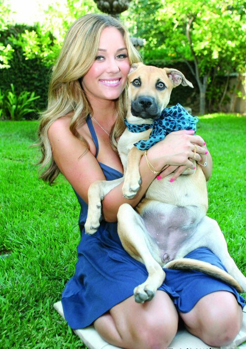 Lauren Conrad: pic #108332