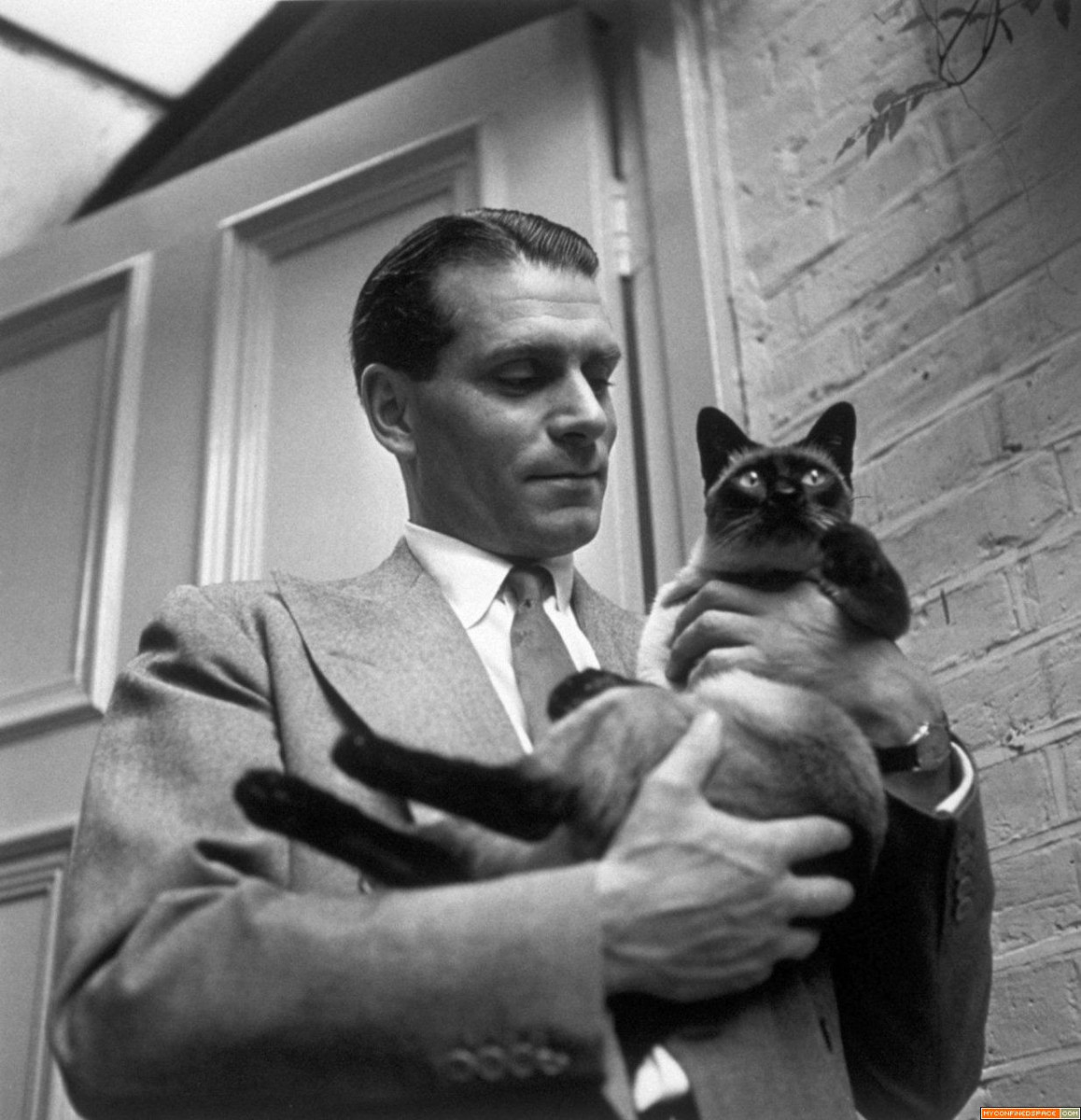 Laurence Olivier: pic #286275