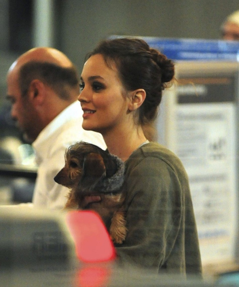 Leighton Meester: pic #592046