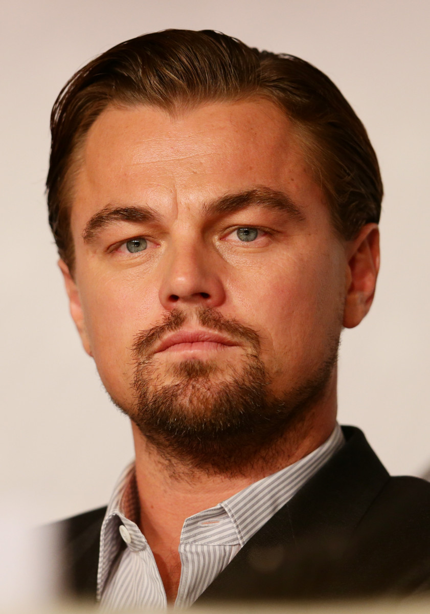 Leonardo DiCaprio: pic #834438