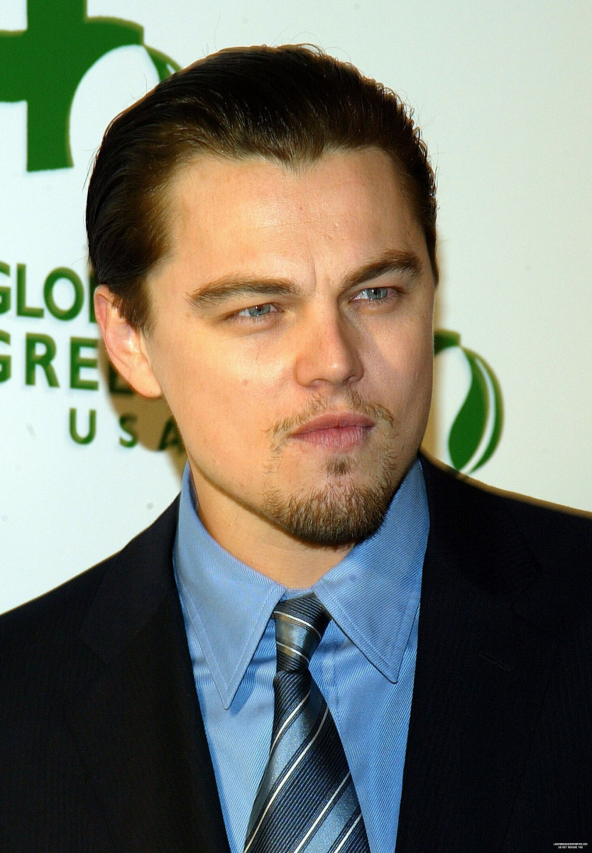 Leonardo DiCaprio: pic #496251