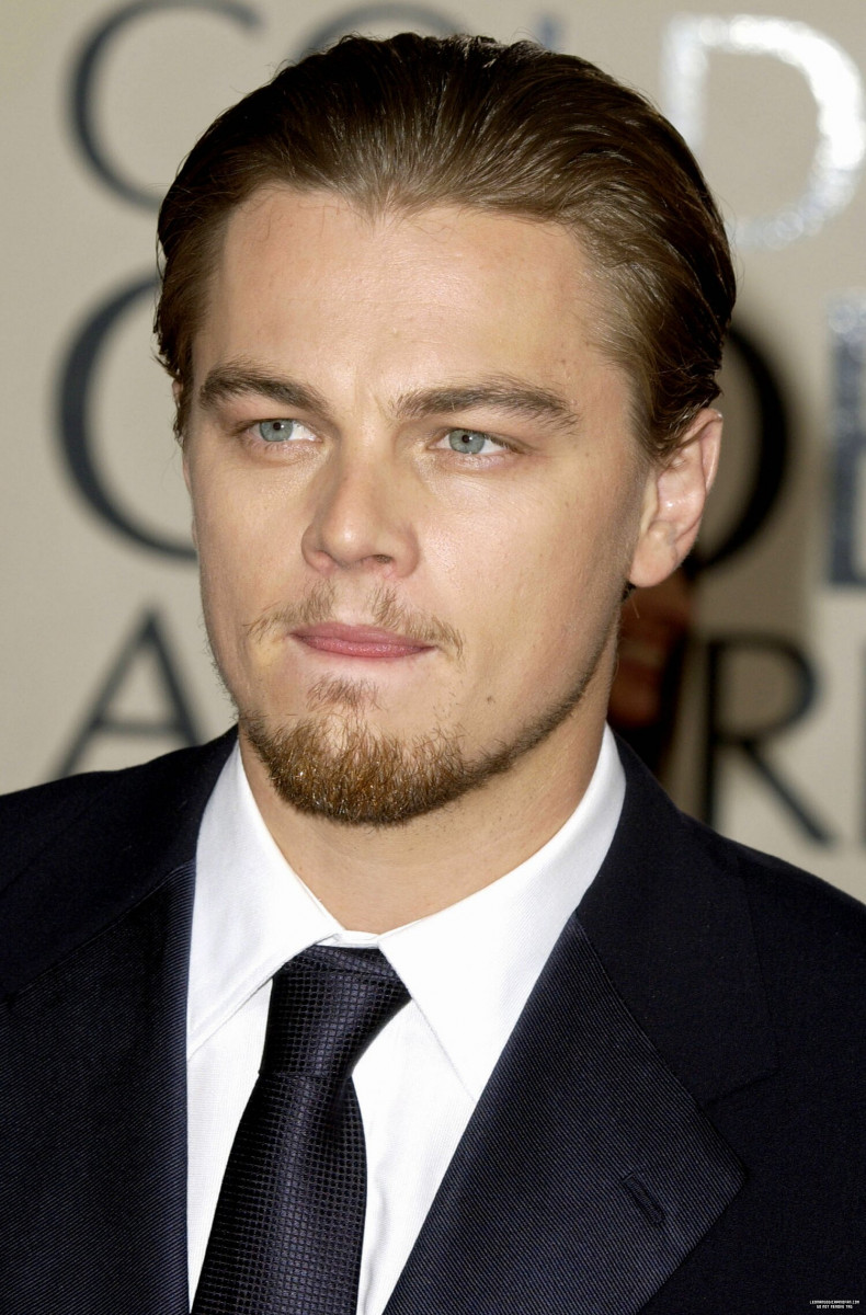 Leonardo DiCaprio: pic #501130