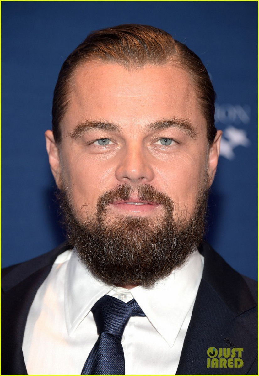 Leonardo DiCaprio: pic #737644