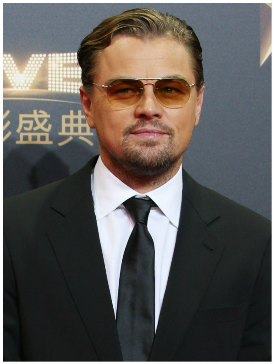 Leonardo DiCaprio: pic #854603