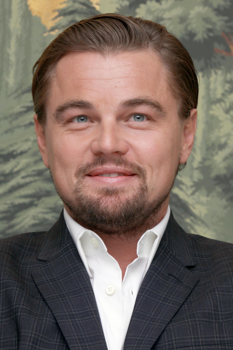 Leonardo DiCaprio: pic #774222