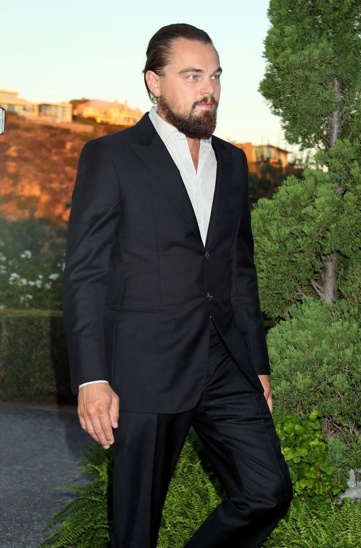 Leonardo DiCaprio: pic #763811