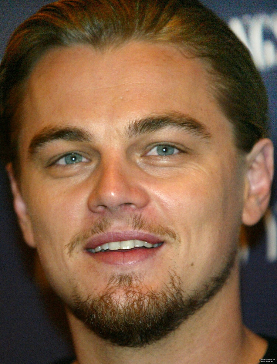 Leonardo DiCaprio: pic #499230