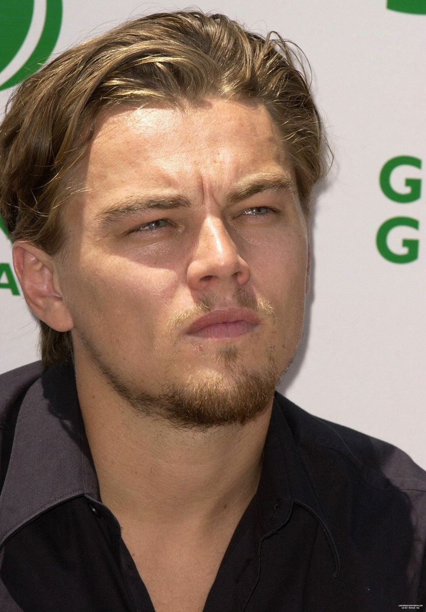 Leonardo DiCaprio: pic #517722