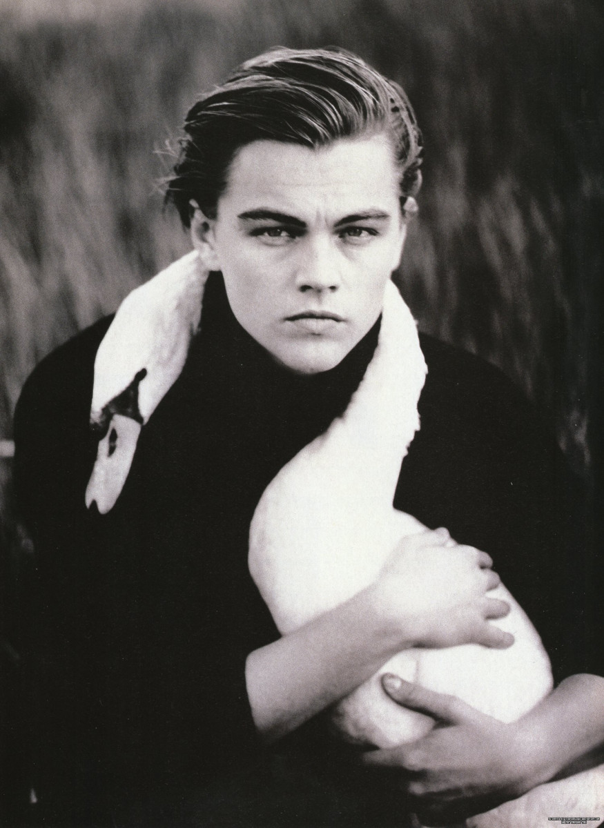 Leonardo DiCaprio: pic #547270