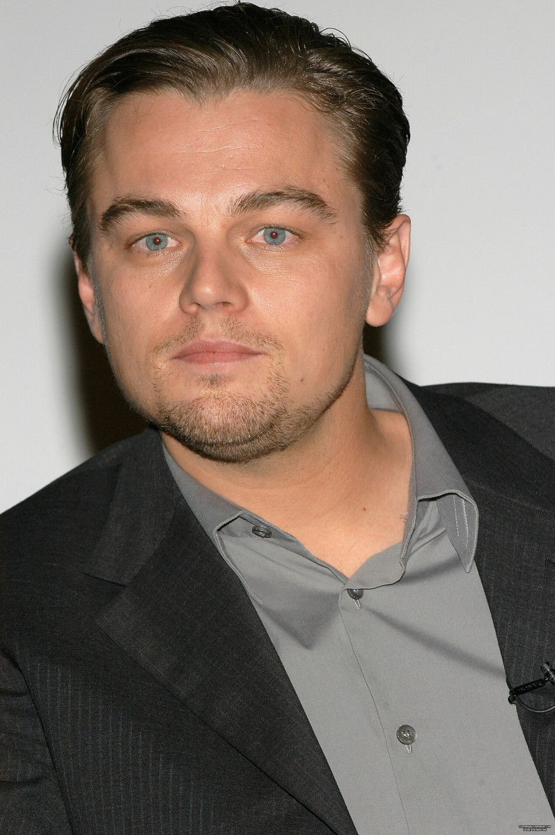 Leonardo DiCaprio: pic #501125