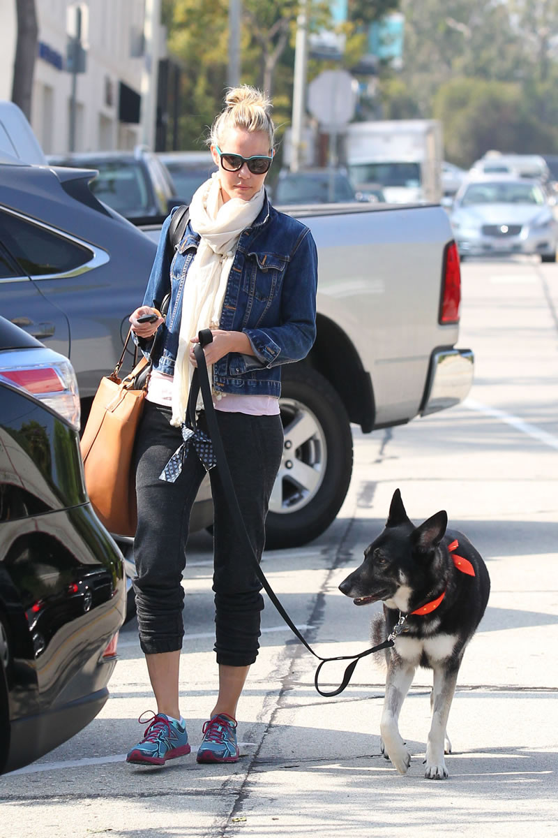 Leslie Bibb: pic #551147
