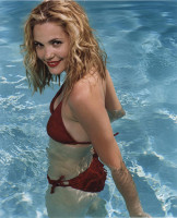 Leslie Bibb photo #