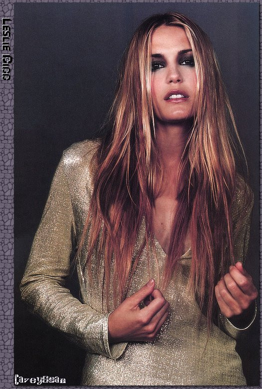 Leslie Bibb: pic #1177