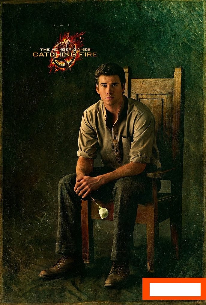 Liam Hemsworth: pic #589735