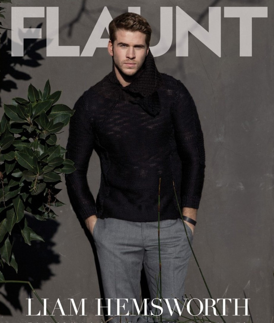 Liam Hemsworth: pic #459687