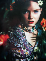 Lily Cole photo #