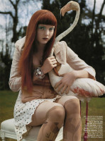 Lily Cole photo #