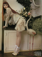 Lily Cole photo #
