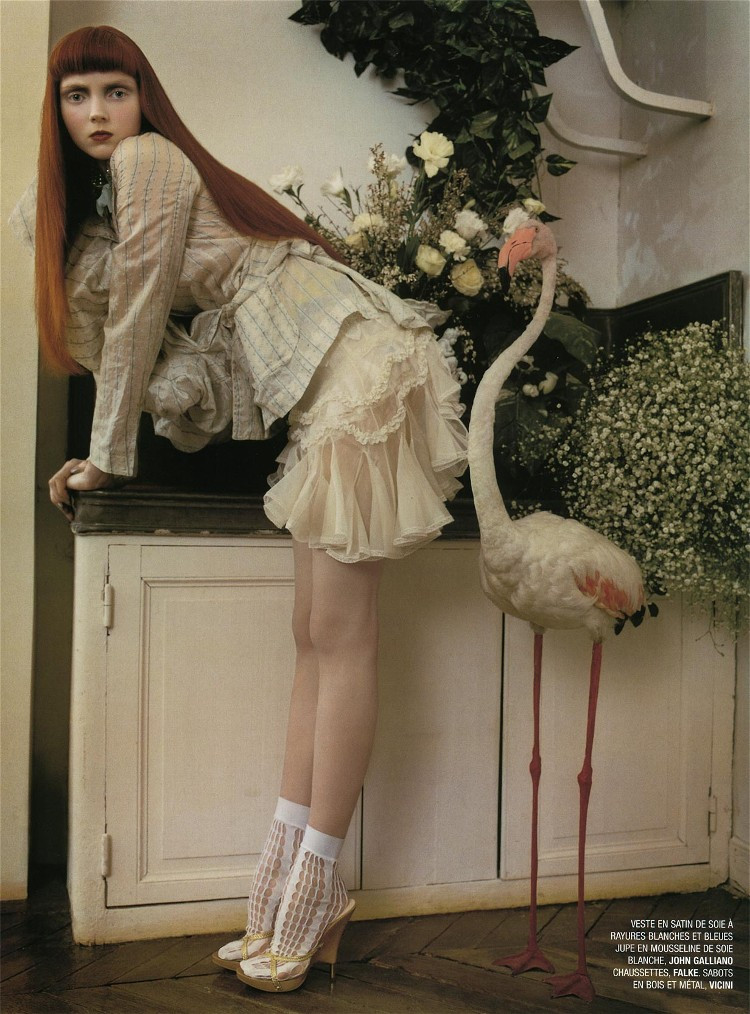 Lily Cole: pic #27943