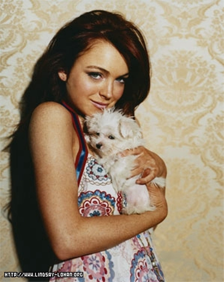 Lindsay Lohan: pic #51300