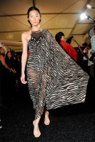 Liu Wen photo #