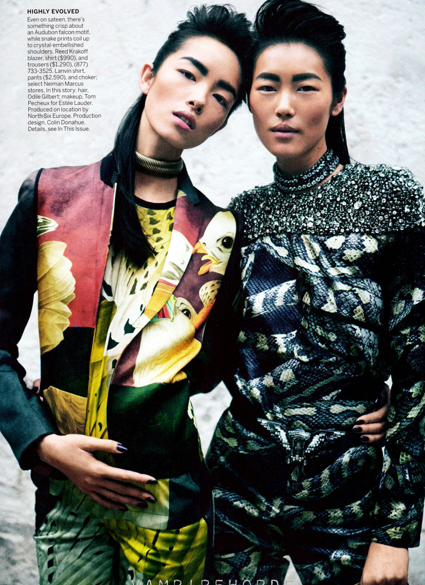 Liu Wen: pic #463735