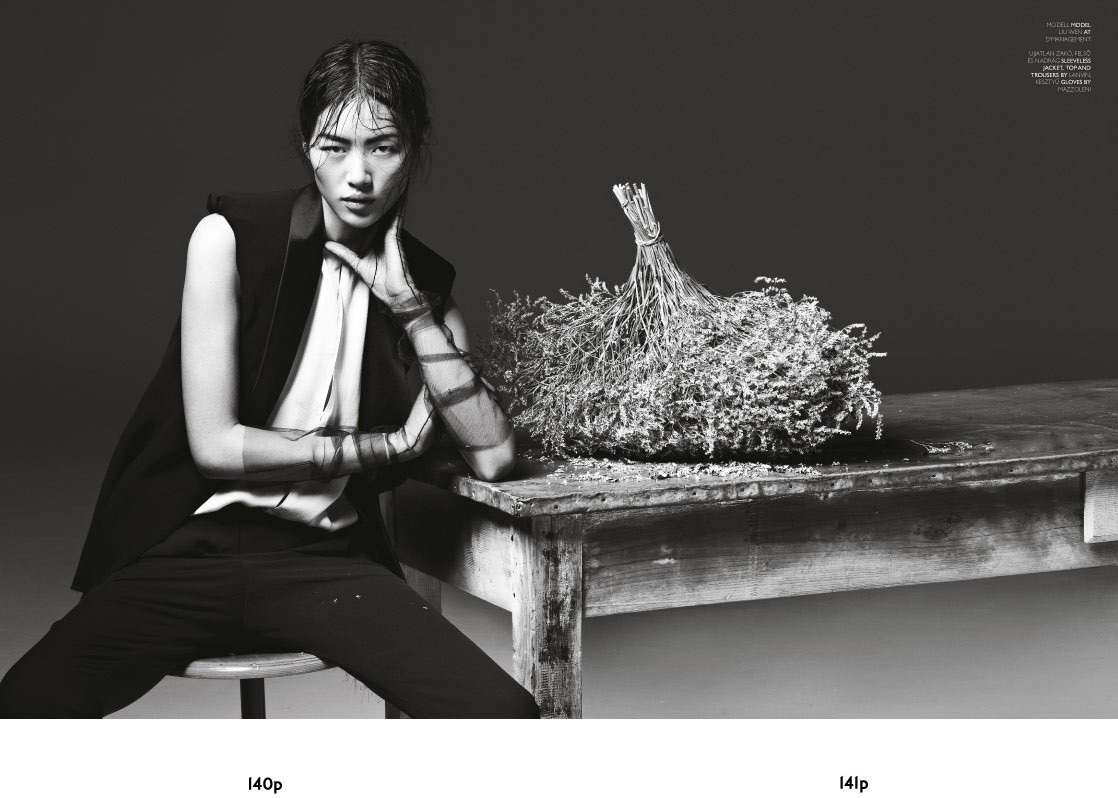 Liu Wen: pic #532790