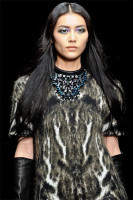 Liu Wen photo #