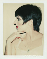 photo 12 in Liza Minnelli gallery [id359899] 2011-03-23