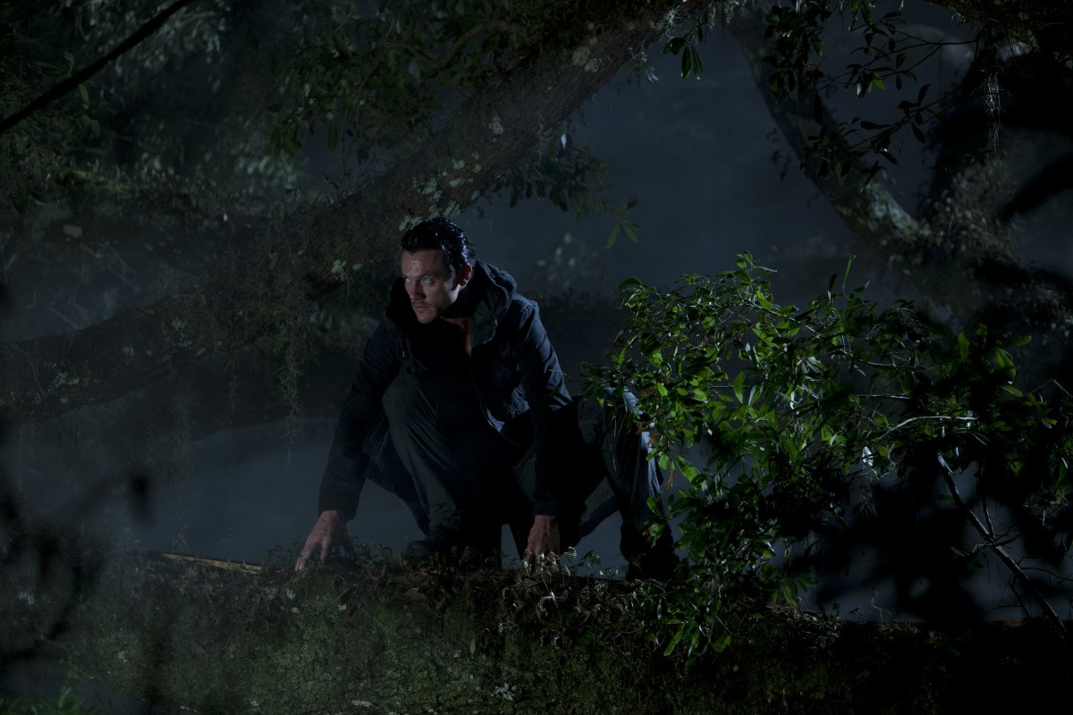 Luke Evans: pic #694636