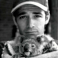 Luke Perry photo #