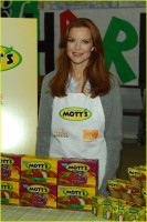 Marcia Cross photo #