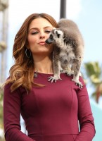 Maria Menounos photo #