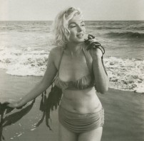 Marilyn Monroe photo #